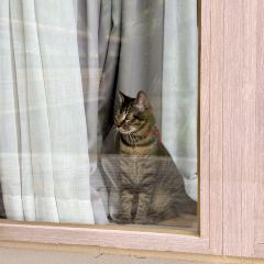 无隐民宿·奇思妙想营 User Photo