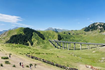 高白鲑鱼餐厅(赛湖月亮湾店)
