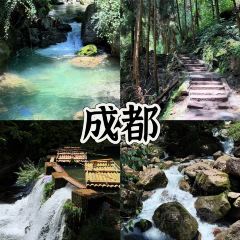 Niccolo Chengdu · The Bar User Photo