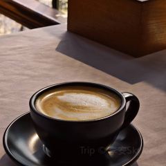 Qisu Court User Photo