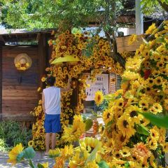 介个院子·草坪团建·围炉冰粉 User Photo