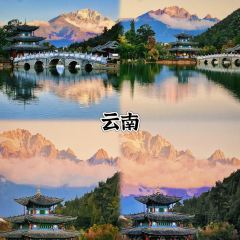 九号咖啡 User Photo