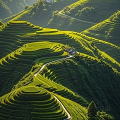 XIAO XI FU YOU CHA User Photo