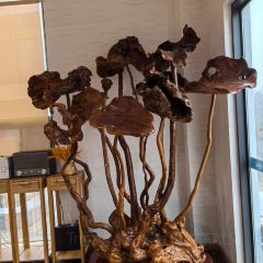 天池山云端木屋·茶香别院阳光餐厅 User Photo