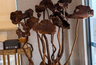 天池山云端木屋·茶香别院阳光餐厅 User Photo