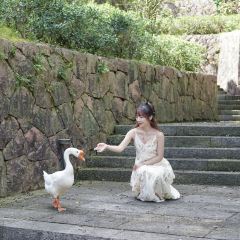 SEN Cuisine User Photo