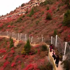 李氏下饭菜纸包鱼·私房菜 User Photo