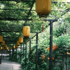 牡丹园·灵岩山房 User Photo