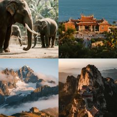 RONG CUISINE User Photo