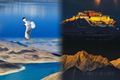 Cang Gu Si Tian Cha Guan