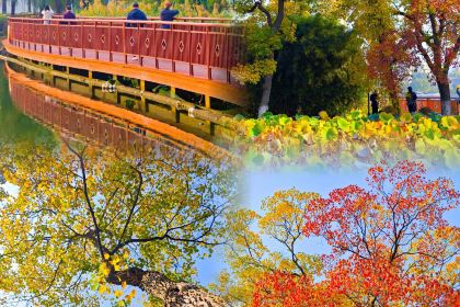 清真·金宏兴鸭子店(明瓦廊店)