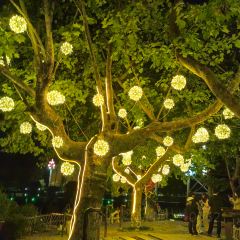 云尚·青舍餐厅(勉县诸葛古镇店) User Photo