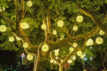 云尚·青舍餐厅(勉县诸葛古镇店)