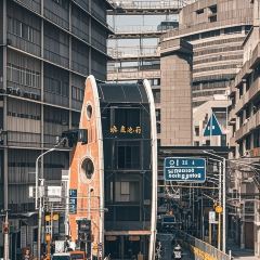 AWU YELLOW RIVER COMMON CARP 여행 사진