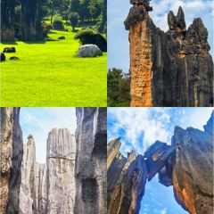 板桥陈记老燕凉卷粉 User Photo