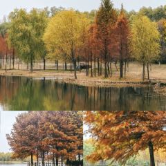 XU XIANG LI LAO FANG ZI User Photo