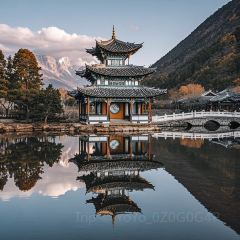 正宗会理鸡火丝(龙眼井店) User Photo