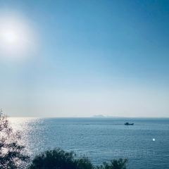 老鬍牛肉粿 여행 사진