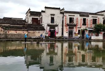 秀嫂挞粿 User Photo