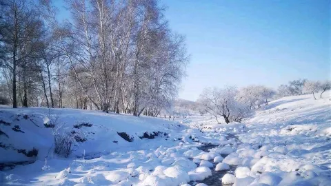 老台門湯包（丹江二區店） in 牡丹江