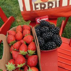 Chocolaterie de l'île d'Orléans St-Laurent User Photo
