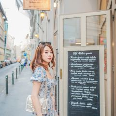 VakVarju Pest User Photo