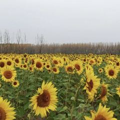 人民公社(神农北路店) User Photo