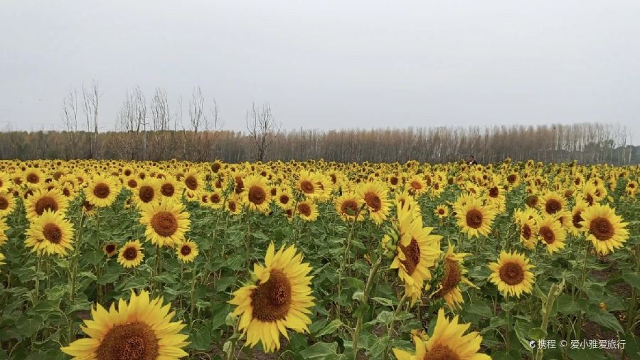 人民公社(神农北路店)