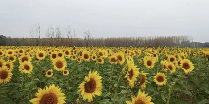 人民公社(神農路店)