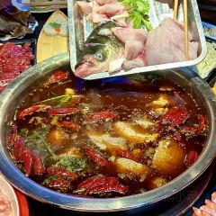 笑禅土豆腐梭边鱼(五里店) User Photo