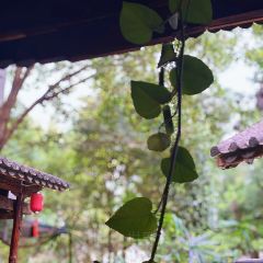 路南往事(利民小区店) User Photo