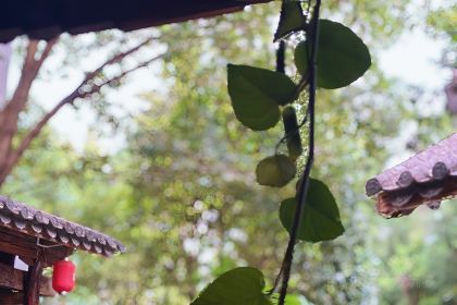 路南往事(利民小区店)