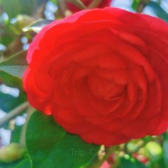 Jiahuabingwu (jinseguangchang) User Photo