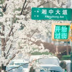 花之林(湘中大道店) User Photo