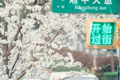 花之林人文茶馆(湘中大道店)