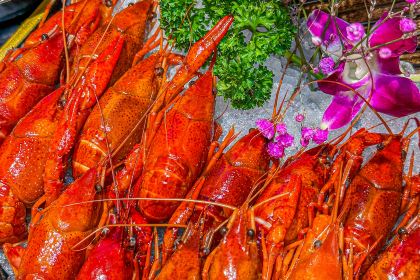 將緒に·和牛放题寿喜烧(新昌万达广场店)