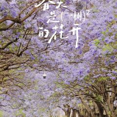 铁哥妹特色烧烤 User Photo