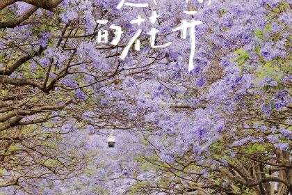 鐵哥妹特色燒烤