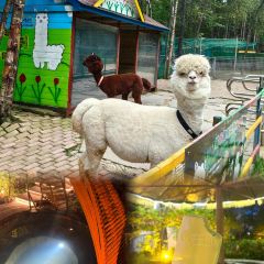 後浪咖啡 （延大店）張用戶圖片