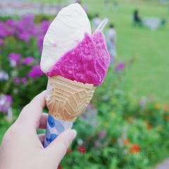 Lake Hill Farm User Photo