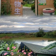 万物生农场餐厅 User Photo