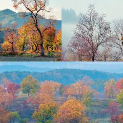 Sage Hall Homestay User Photo