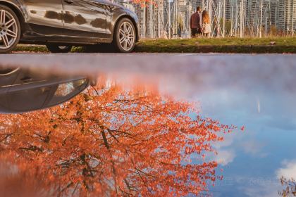 Five Sails Restaurant