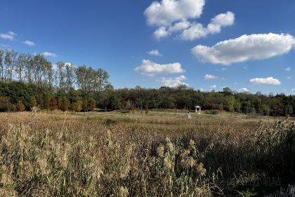 上湾水库生态园户外自助烧烤