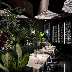 BIANCHI PLUS白安其(环球金融中心店) User Photo