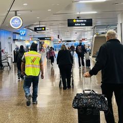 Dish D'lish User Photo