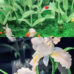 淄博站·淄博烧烤(紫城·御都西区店) User Photo