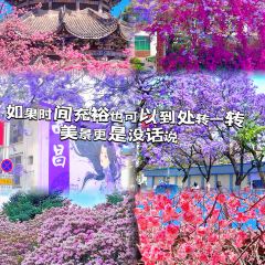 Asiniuniu-The daliangshan style User Photo