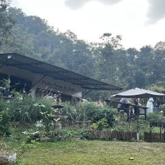 Elefin Farm & Cafe เอเลฟิน ฟาร์ม แอนด์ คาเฟ่ User Photo
