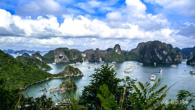 Ti Tốp Đỉnh núi Đảo